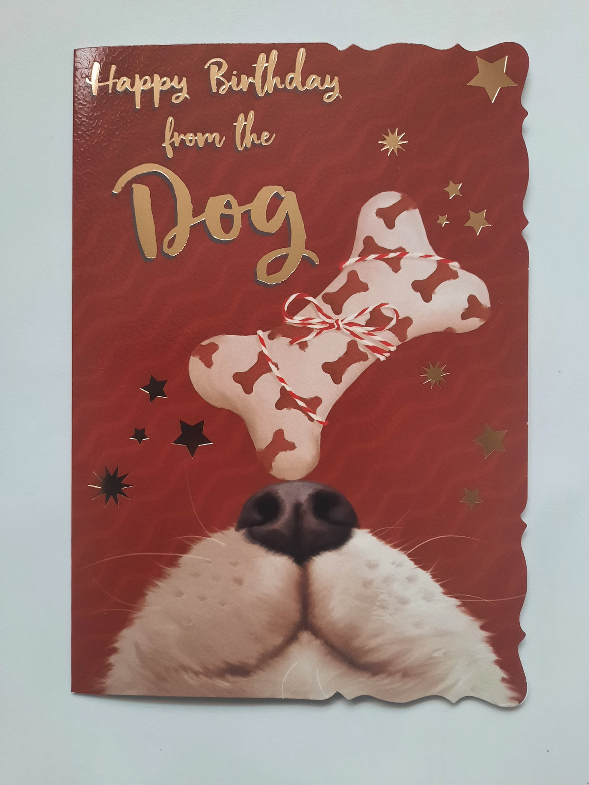 Happy Birthday from the Dog Card - Funny Dog Birthday Card