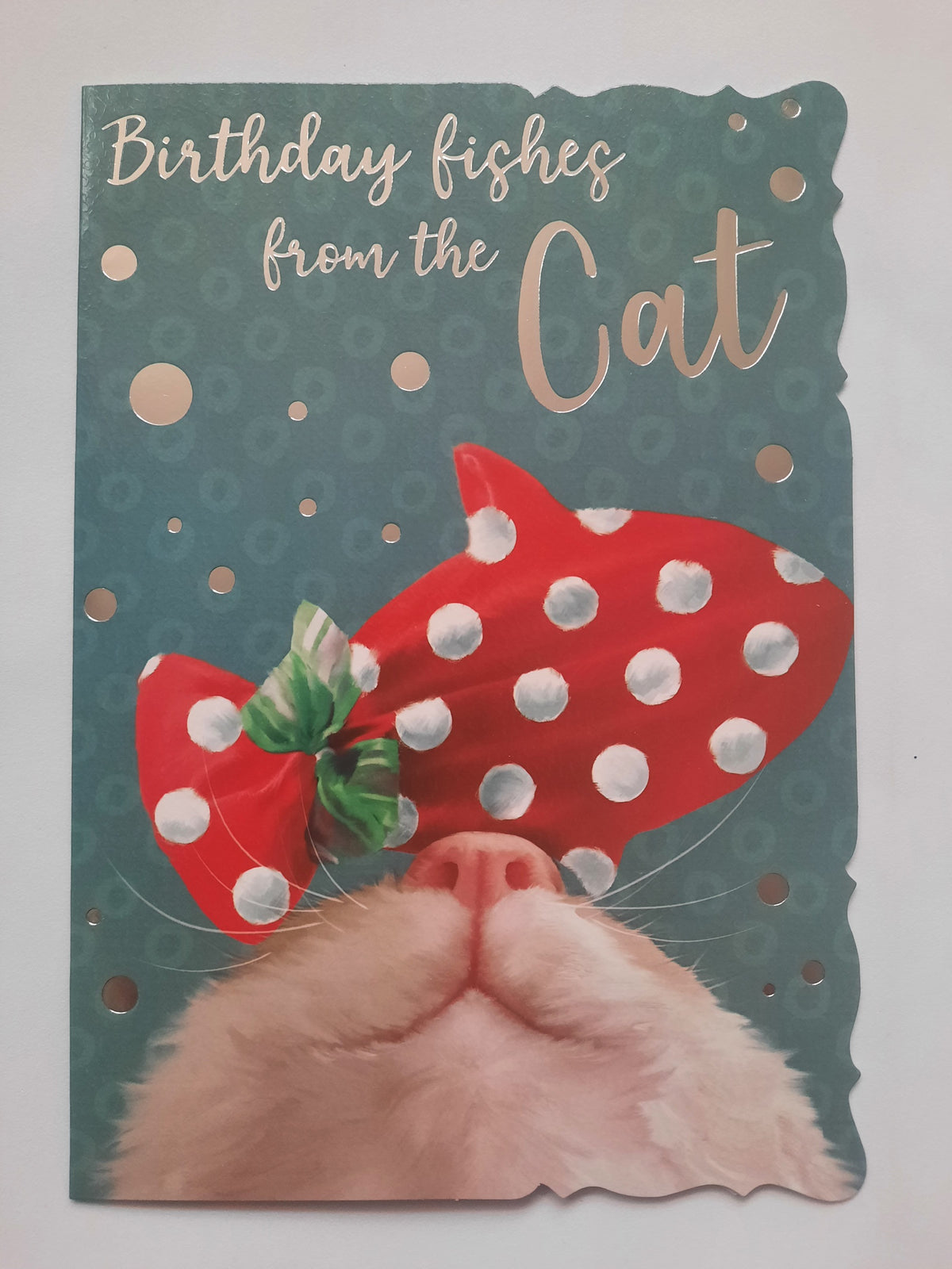 Funny Birthday Card from the Cat - Purrfect Birthday Card for Cat Lovers