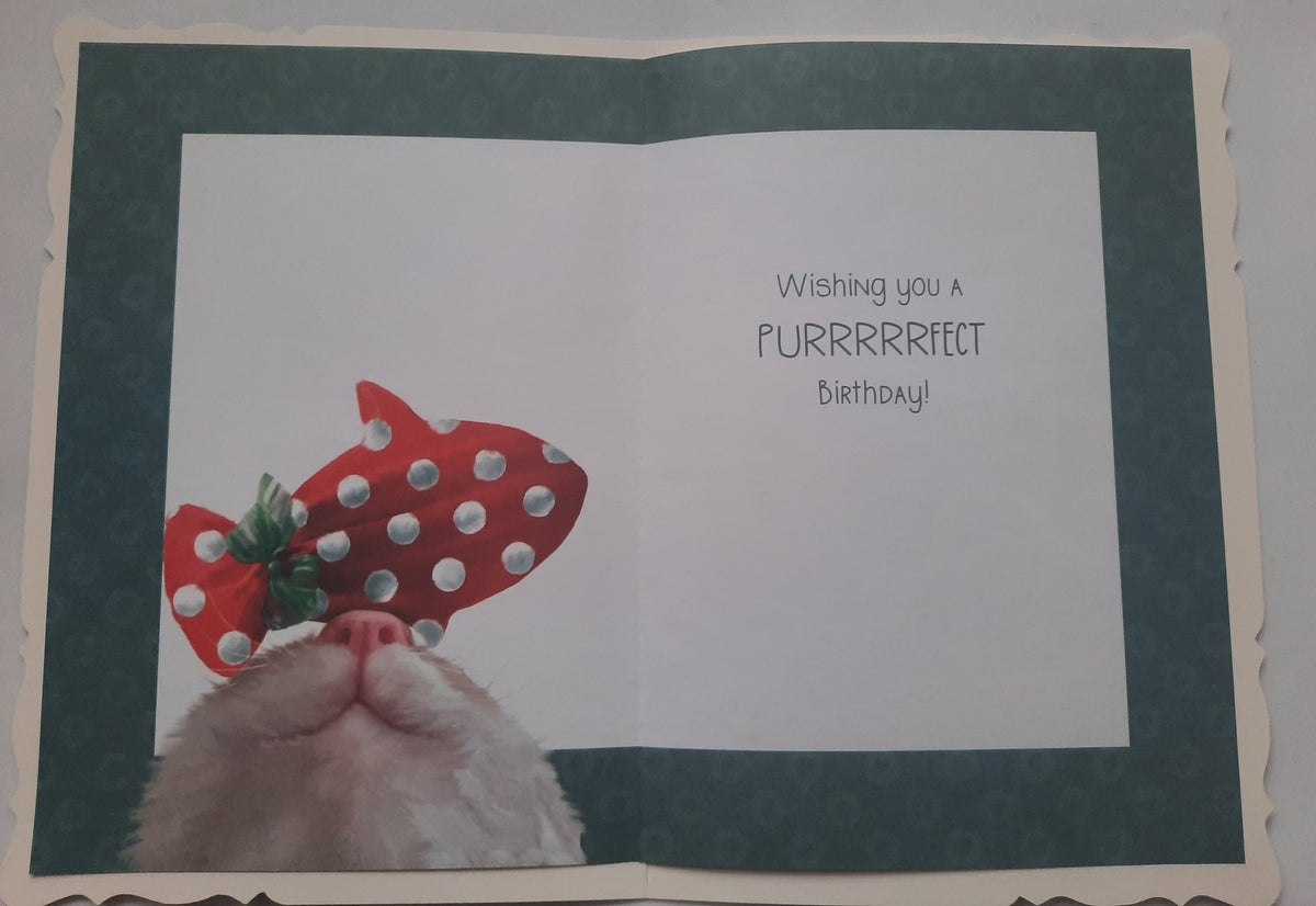 Funny Birthday Card from the Cat - Purrfect Birthday Card for Cat Lovers