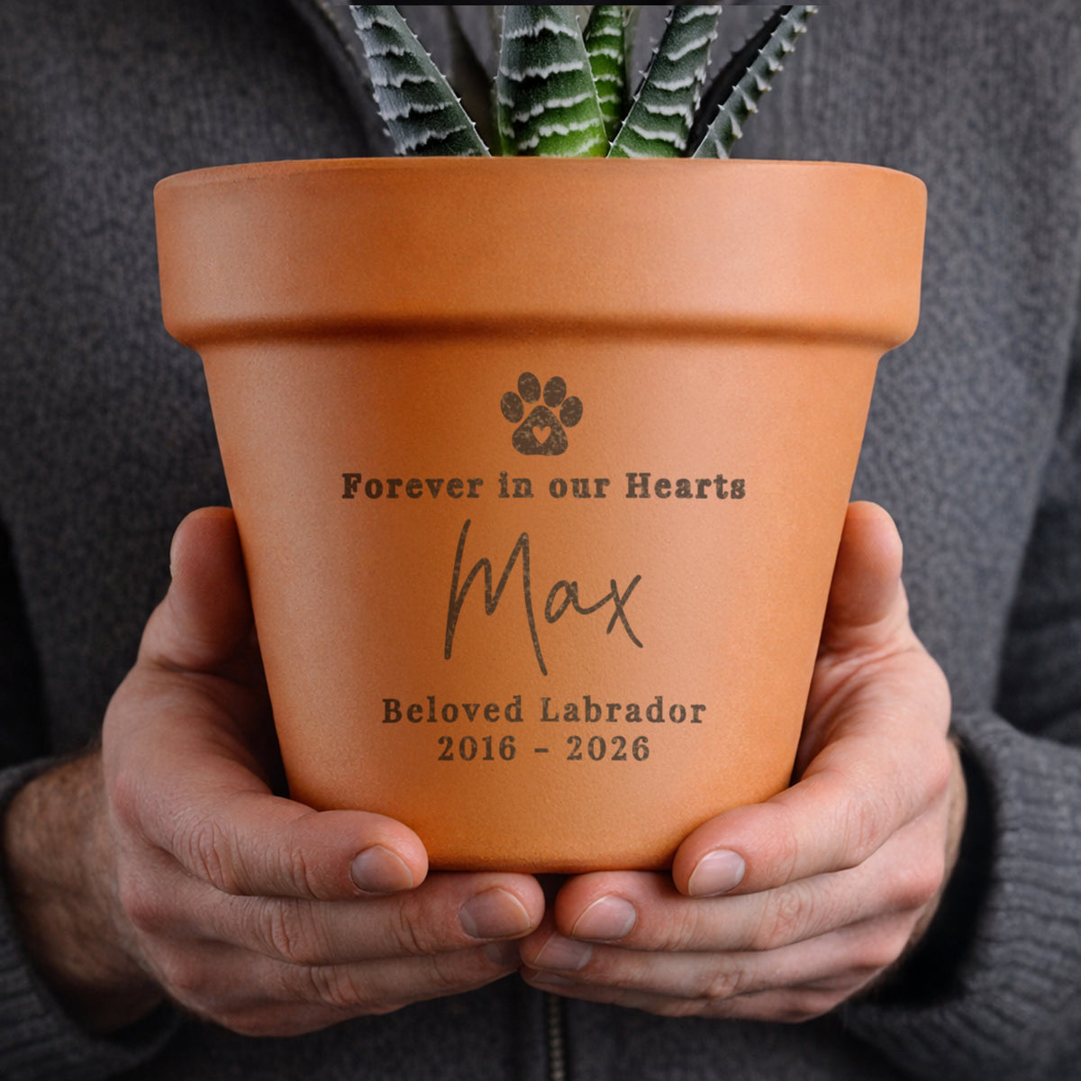 Personalised Pet Memorial Terracotta Plant Pot