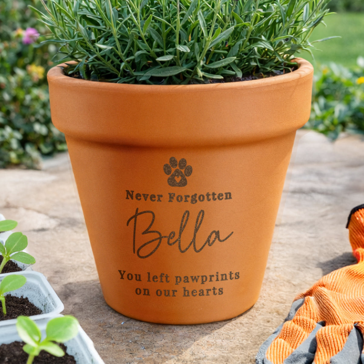 Personalised Pet Memorial Terracotta Plant Pot