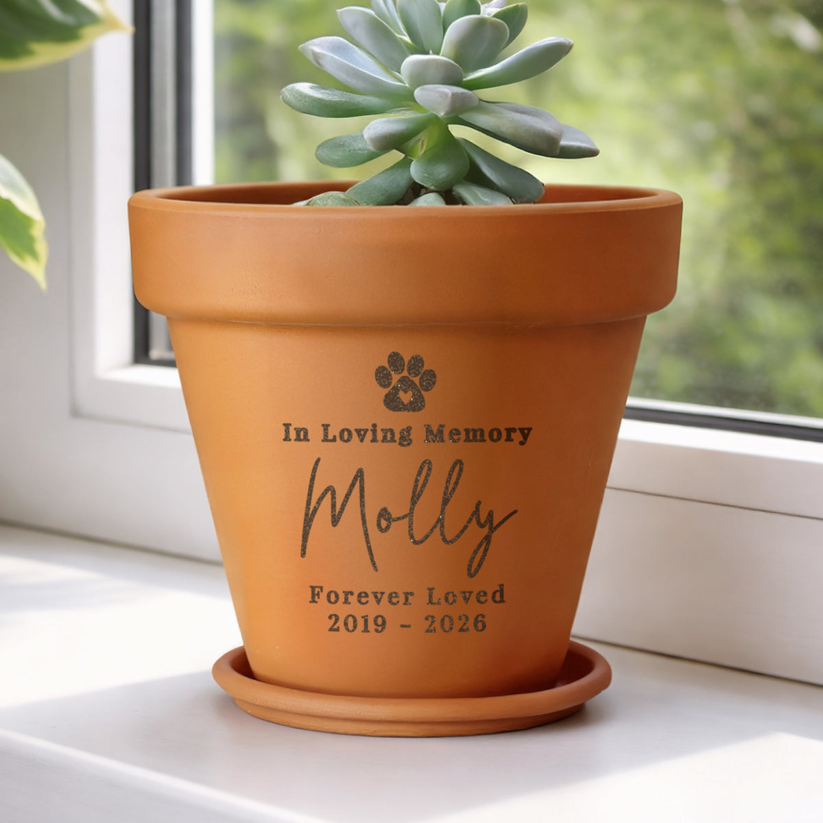 Personalised Pet Memorial Terracotta Plant Pot