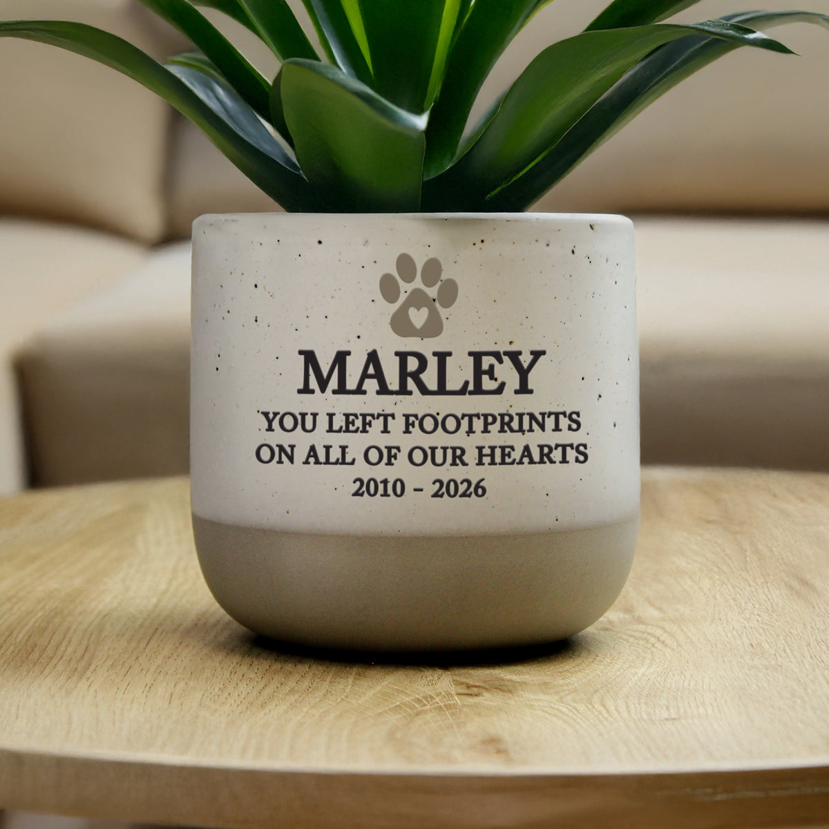 Personalised Pet Memorial Flecked Plant Pot